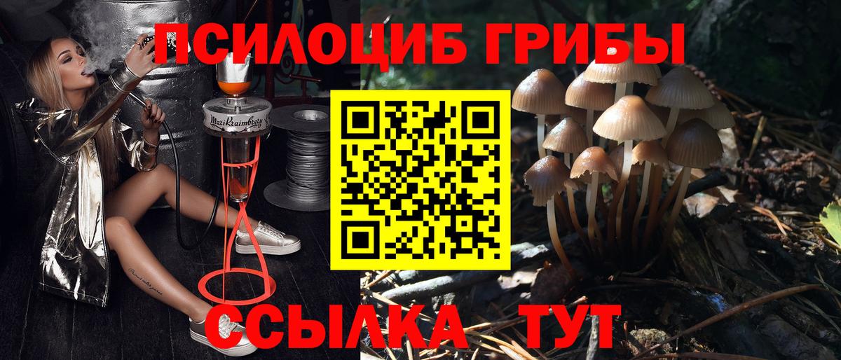Чайковский  Галлюциногенные грибы GOLDEN TEACHER  Вход с VPN  Галлюциногенные грибы Magic Shrooms 